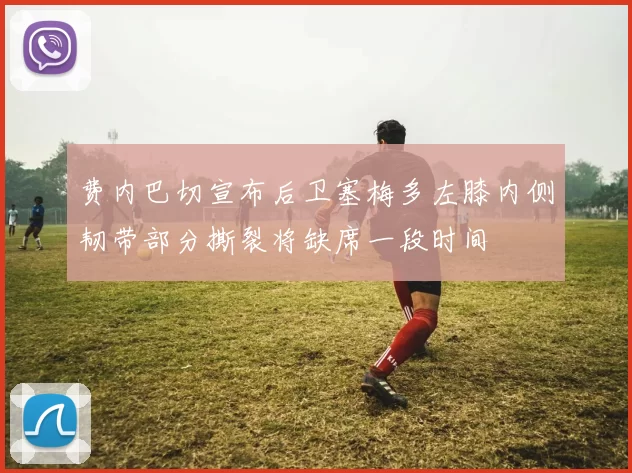 费内巴切宣布后卫塞梅多左膝内侧韧带部分撕裂将缺席一段时间